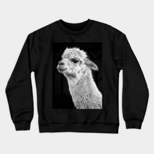 Adorable Alpaca on Black Crewneck Sweatshirt